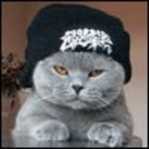 Meet your Posher, Cheng